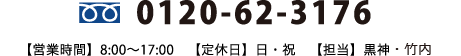 0120-62-3176